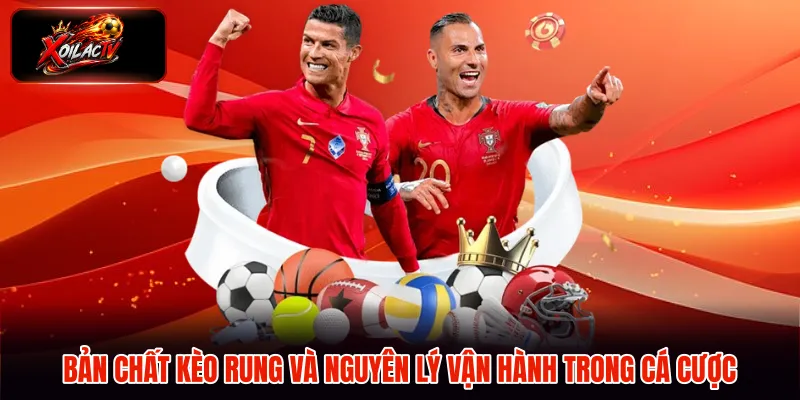 Bản chất kèo rung và nguyên lý vận hành trong cá cược