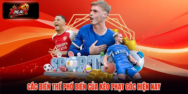 Các biến thể phổ biến của kèo phạt góc hiện nay