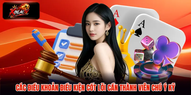 Các điều khoản điều kiện cốt lõi cần thành viên chú ý kỹ