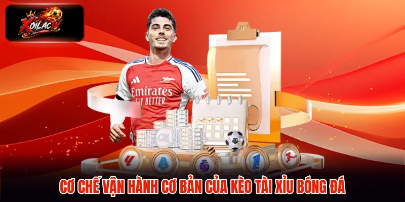 Cơ chế vận hành cơ bản của kèo tài xỉu bóng đá