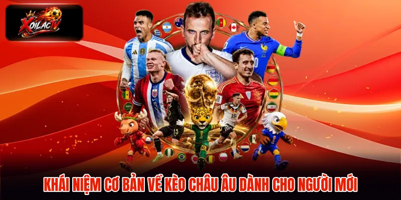 Khái niệm cơ bản về kèo châu Âu dành cho người mới