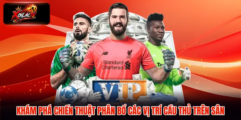 Khám phá chiến thuật phân bổ các vị trí cầu thủ trên sân
