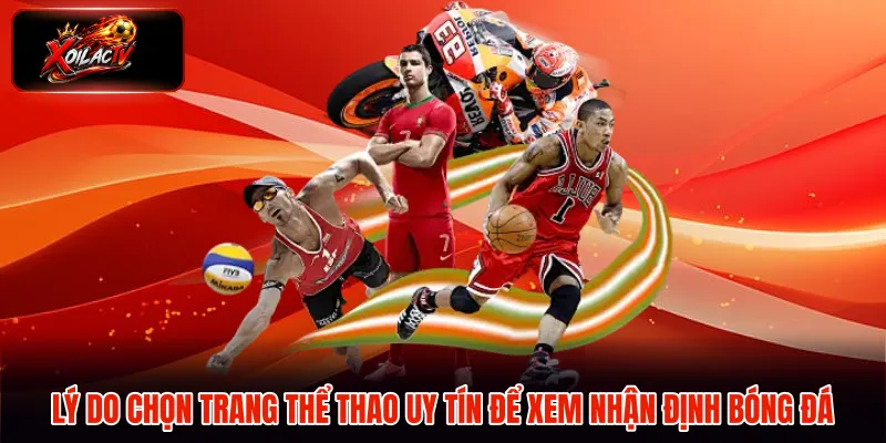 Lý do chọn trang thể thao uy tín để xem nhận định bóng đá