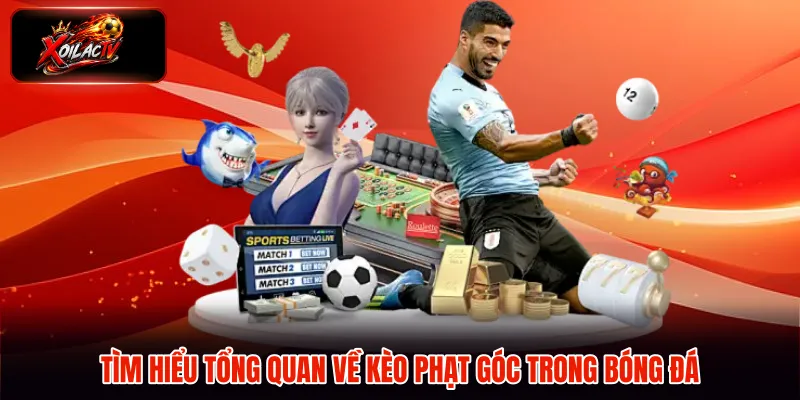 Tìm hiểu tổng quan về kèo phạt góc trong bóng đá