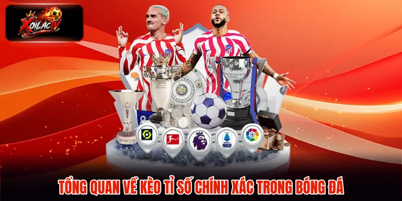 Tổng quan về kèo tỉ số chính xác trong bóng đá